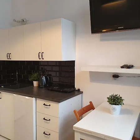 Apartment Studio Bursztyn & Parking